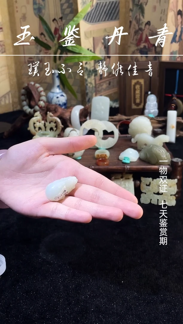 和田玉未镶嵌挂件貔貅
