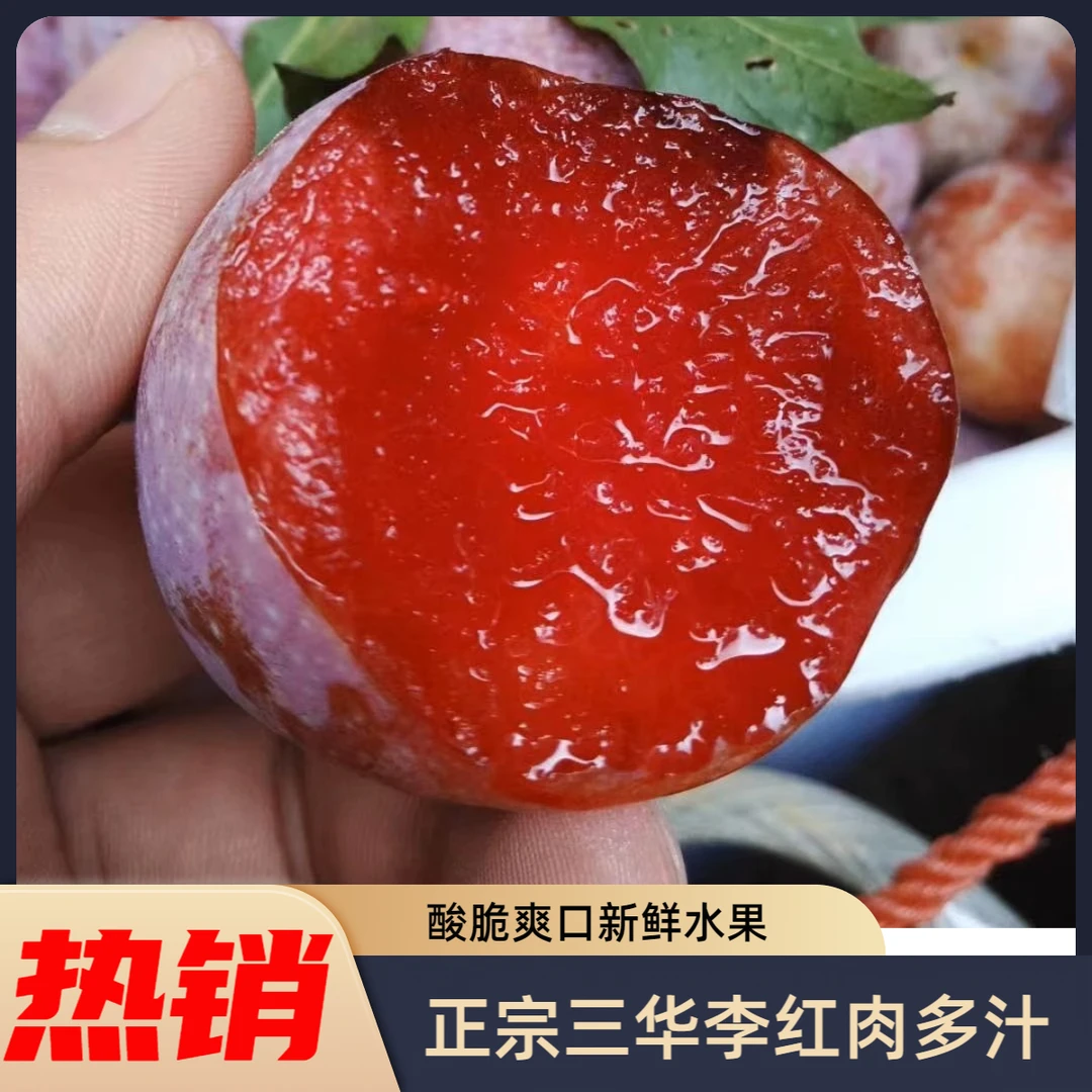 红肉三华李新鲜李子当季水果酸脆爽口现摘现发怕酸勿拍产地直发