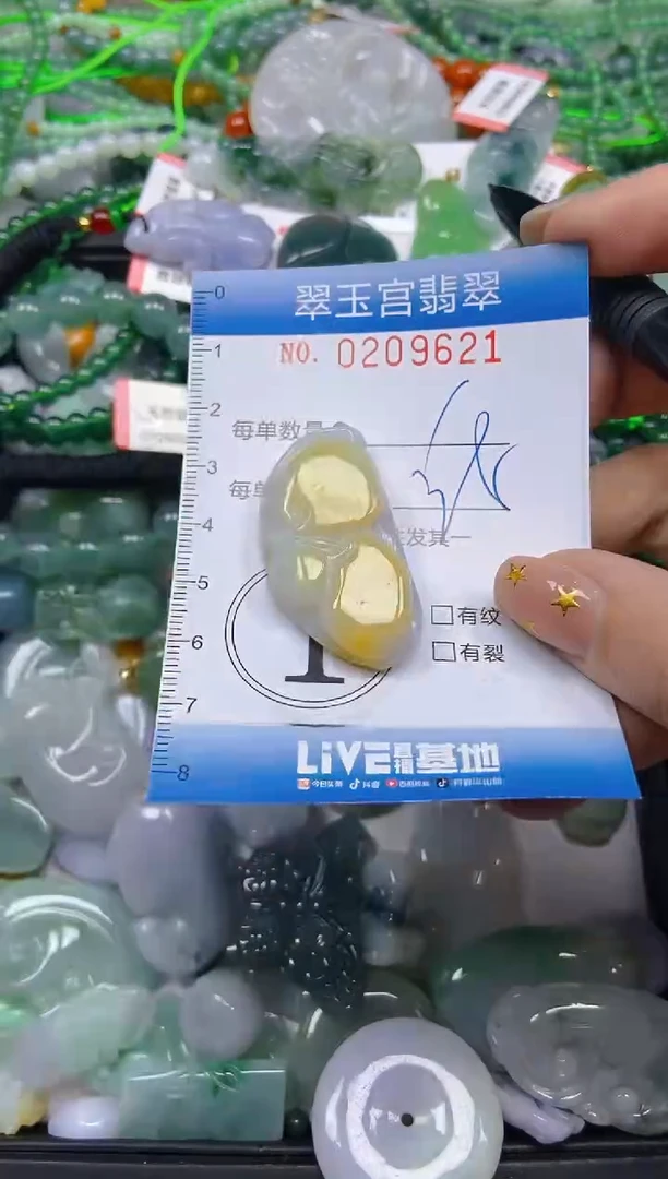 颈饰未镶嵌翡翠闪购C0209621