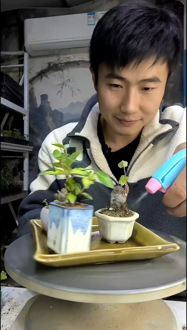 慧中青园艺一物一拍169