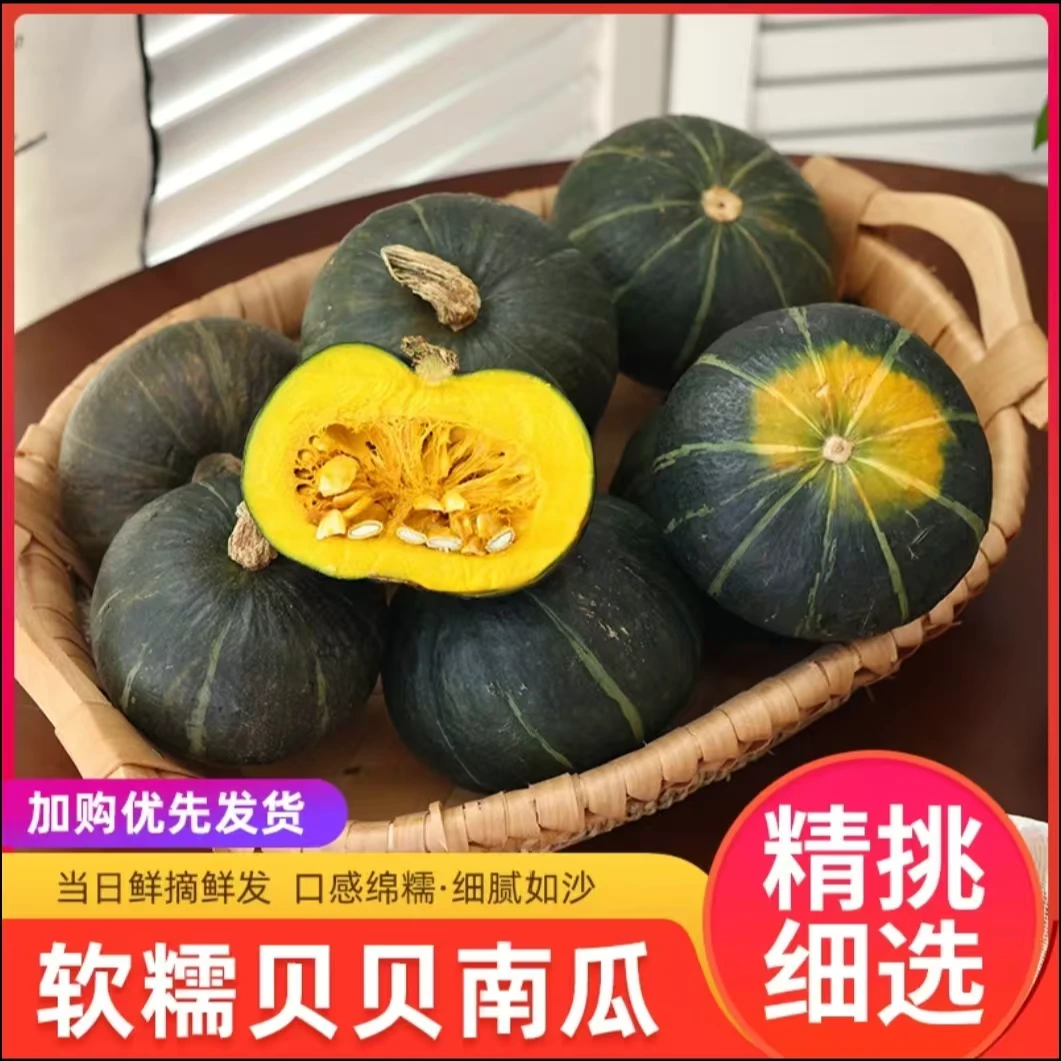 【现摘现发】正宗贝贝南瓜粉面营养香甜皮薄肉厚清香健康产地口感