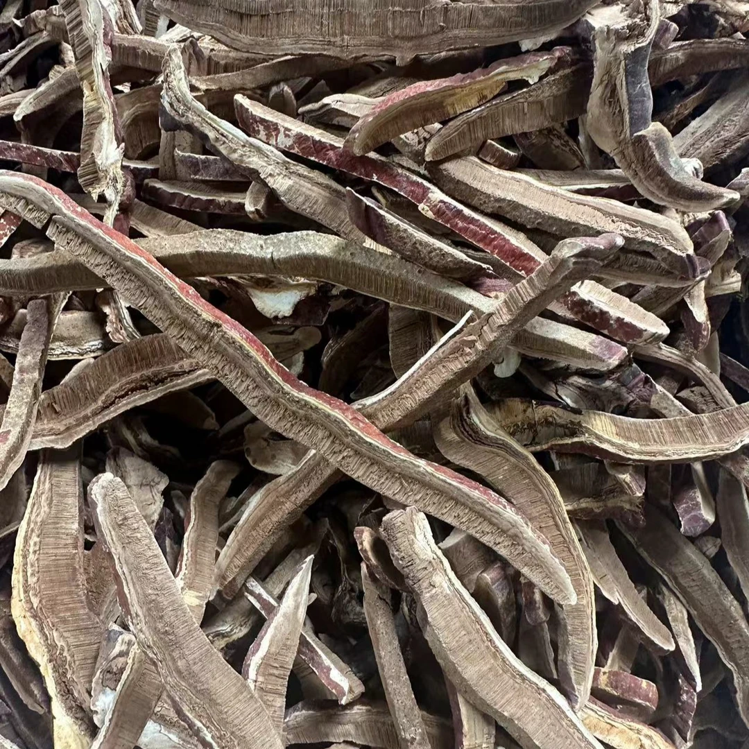 【霞姐推荐】长白山 原产地 赤灵芝片 净含量250g
