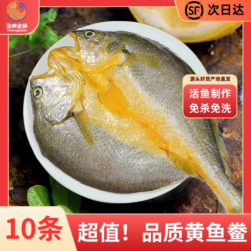 渔响湾 醇香黄鱼鲞 350g宁德霞浦新鲜冷冻免杀免洗 黄花鱼大黄鱼