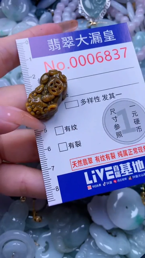 翡翠未镶嵌吊坠(不含链)6837