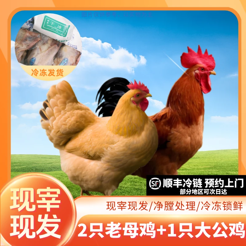 【买二送一】买两只老母鸡送一只大公鸡 宰杀好净重8-9斤 顺丰冷链直达 鸡肉同城送 包冰率不含冰