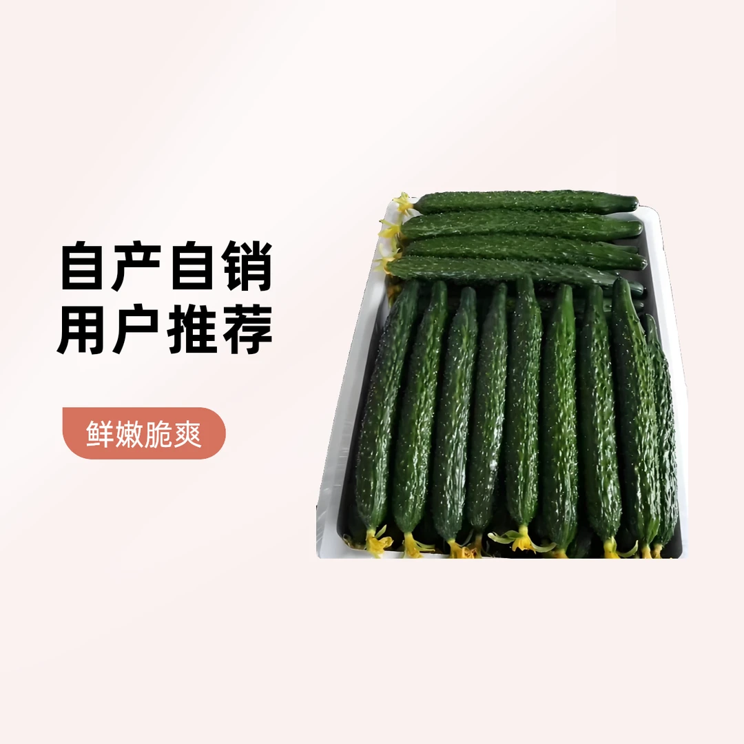 淘沐基地自产自销水黄瓜450g±45g新鲜水黄瓜