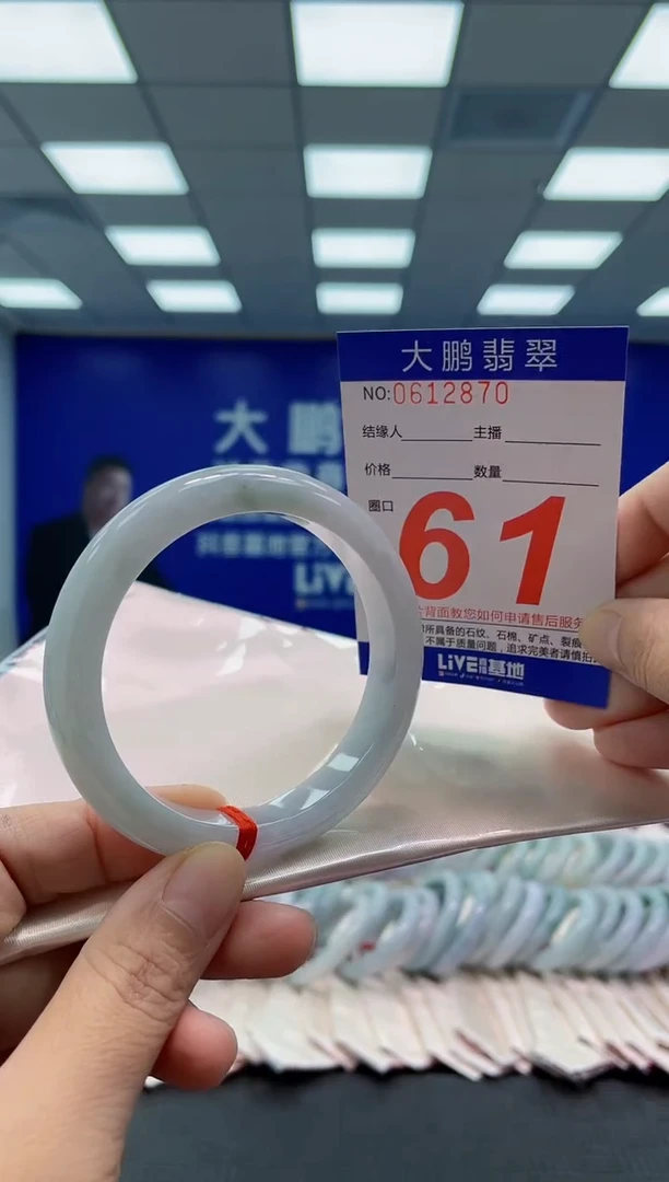 未镶嵌手镯翡翠AAAAAAAAAA