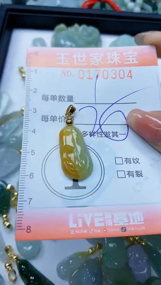 【闪购商品】翡翠颈饰未镶嵌闪购0170304