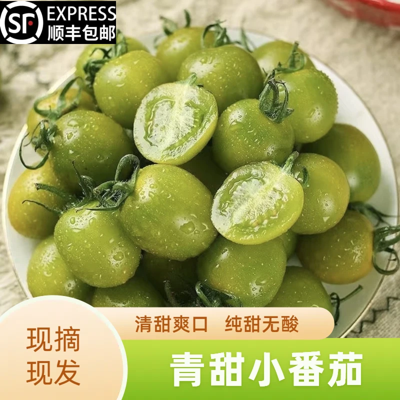 云南新鲜彩色小番茄酸甜多汁现摘现发产地直发