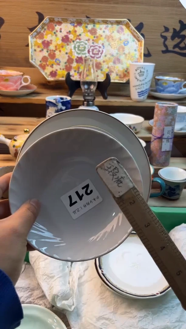 【闪购商品】瓷片瓷器          217