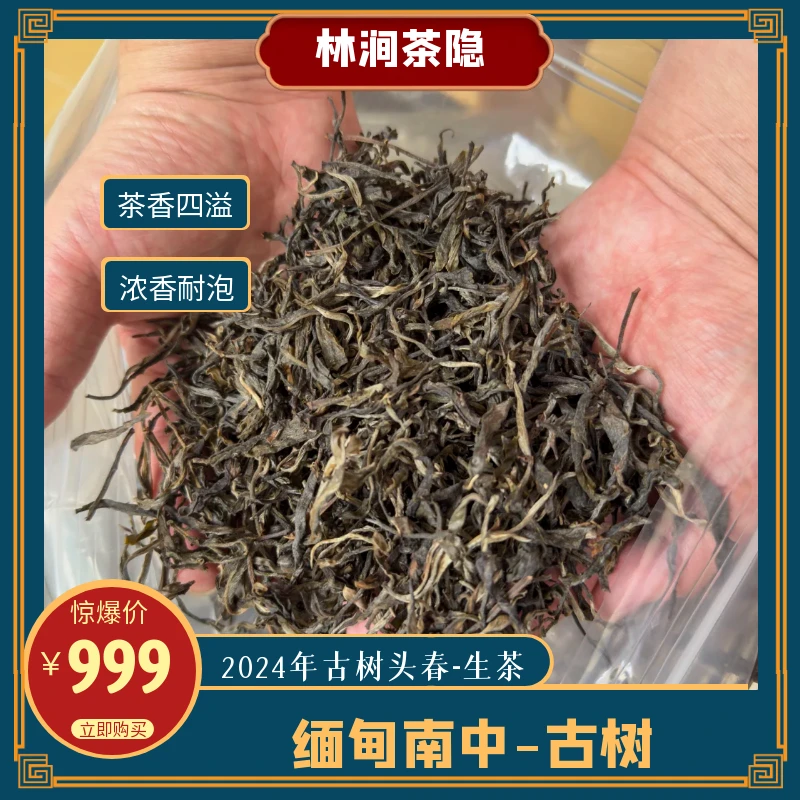 2025年缅甸古树头春生茶（茶气足，韵味好，口粮茶性价比）