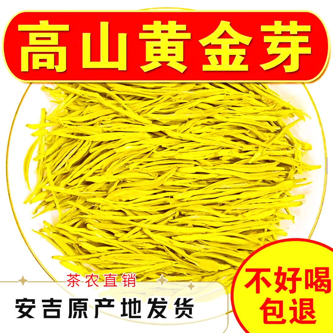 【小明正能量】粗长耐泡安吉口粮黄金芽2025新茶浓香黄金叶雨前春茶