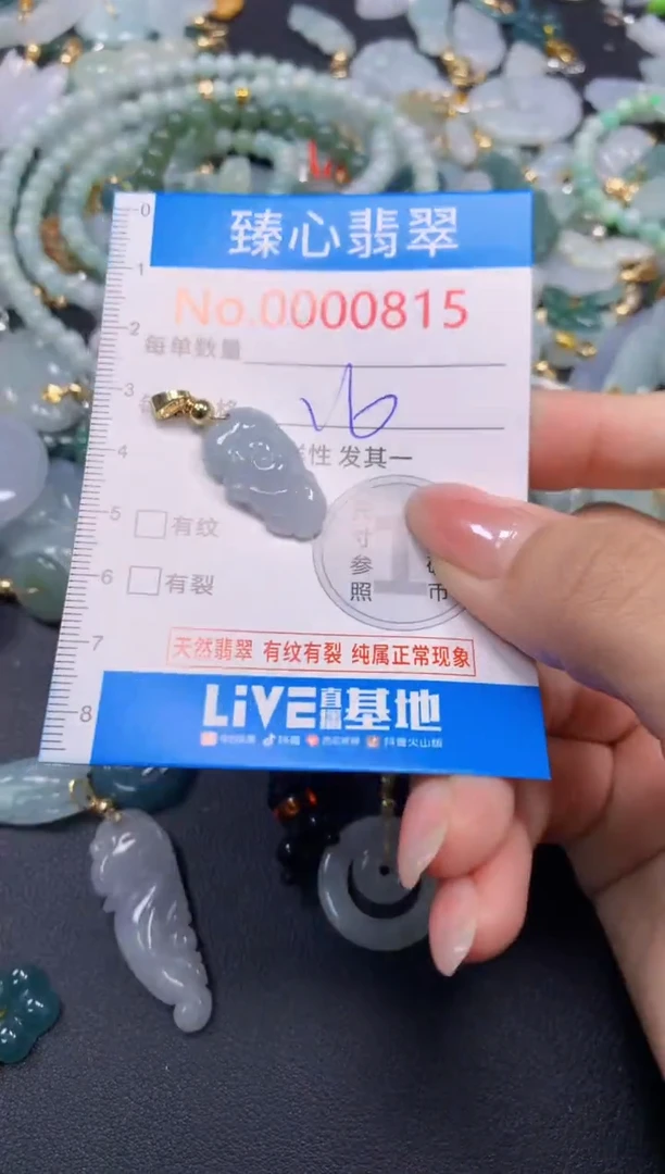 颈饰未镶嵌翡翠815