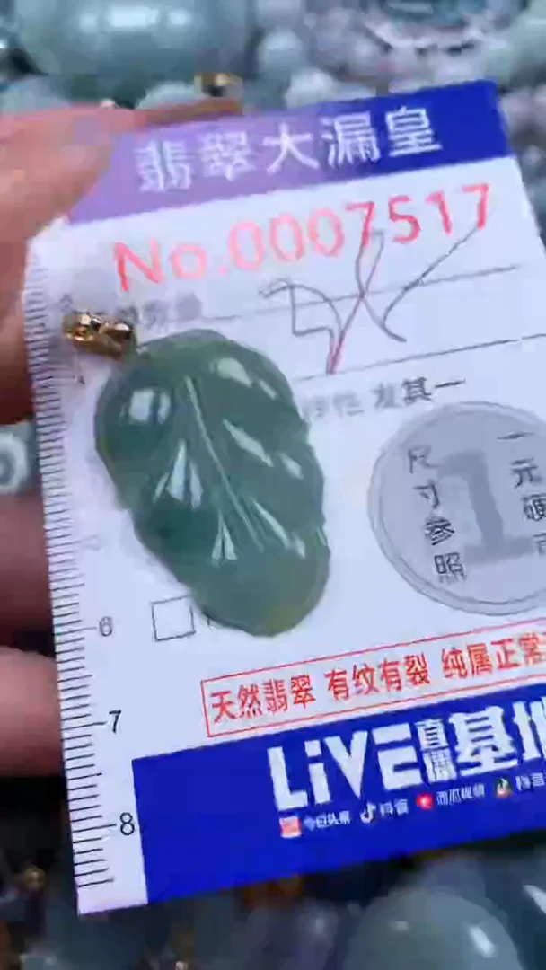 翡翠未镶嵌吊坠(不含链)7517