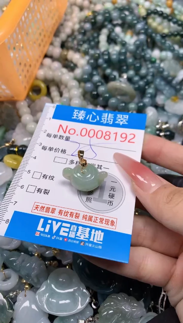 【闪购商品】翡翠颈饰未镶嵌含绳0008192