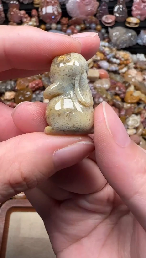 颈饰未镶嵌硅化珊瑚（珊瑚玉）509