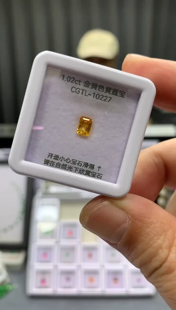 裸石蓝宝石1.02ct CGTL10227