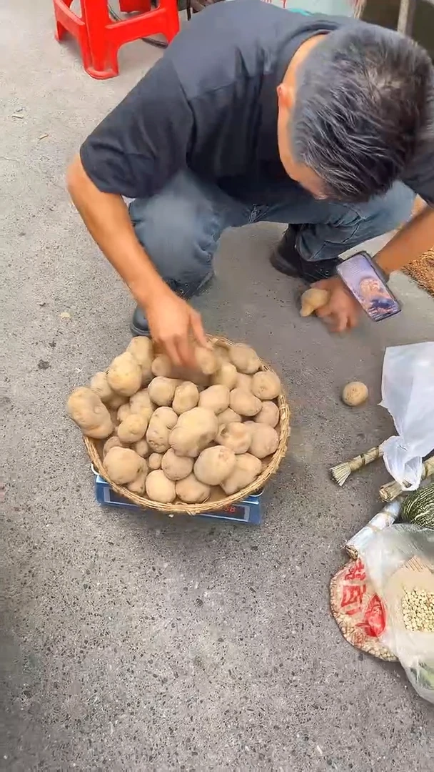 中国大陆高山洋芋9斤