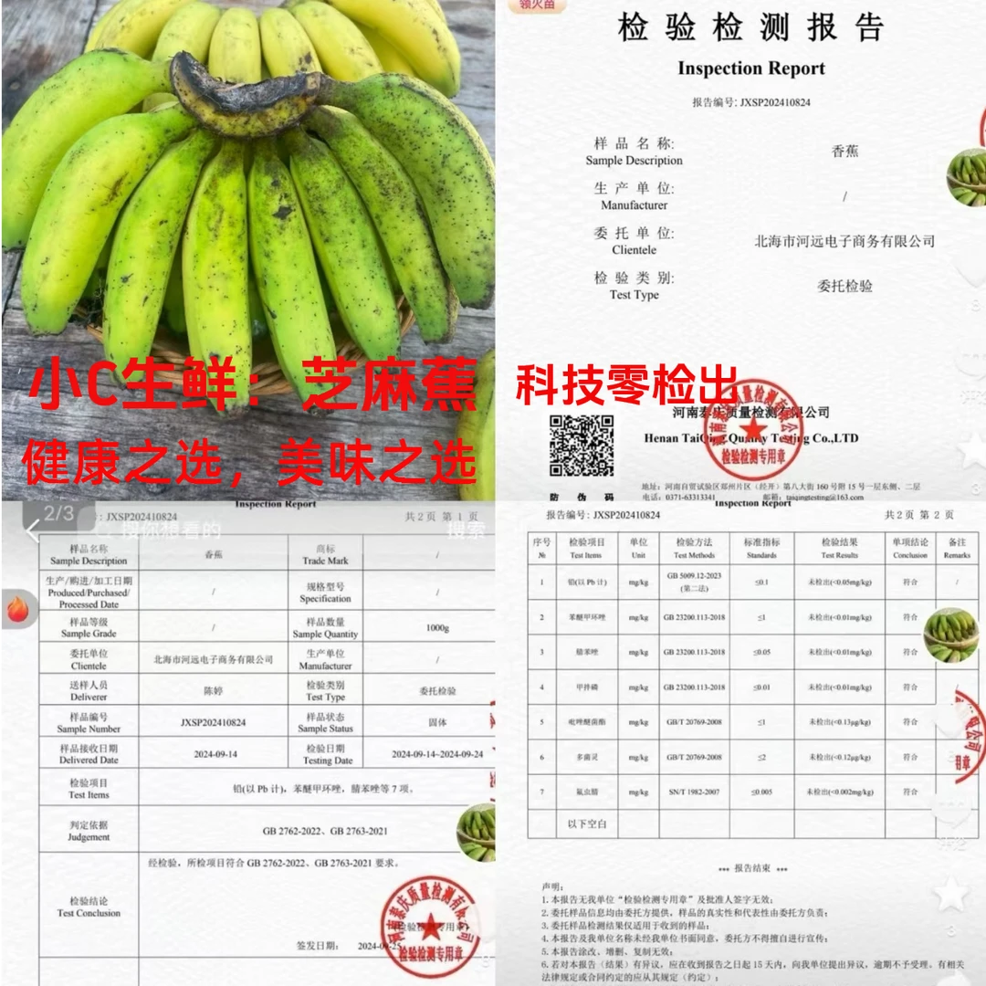 广西北海涠洲岛无科技火山熟香蕉