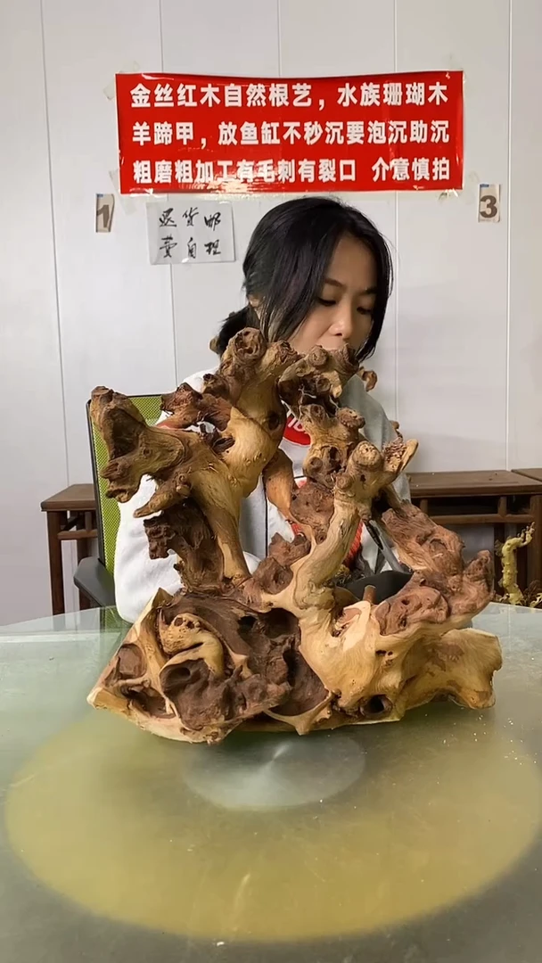 木信*化金丝红木  羊蹄甲