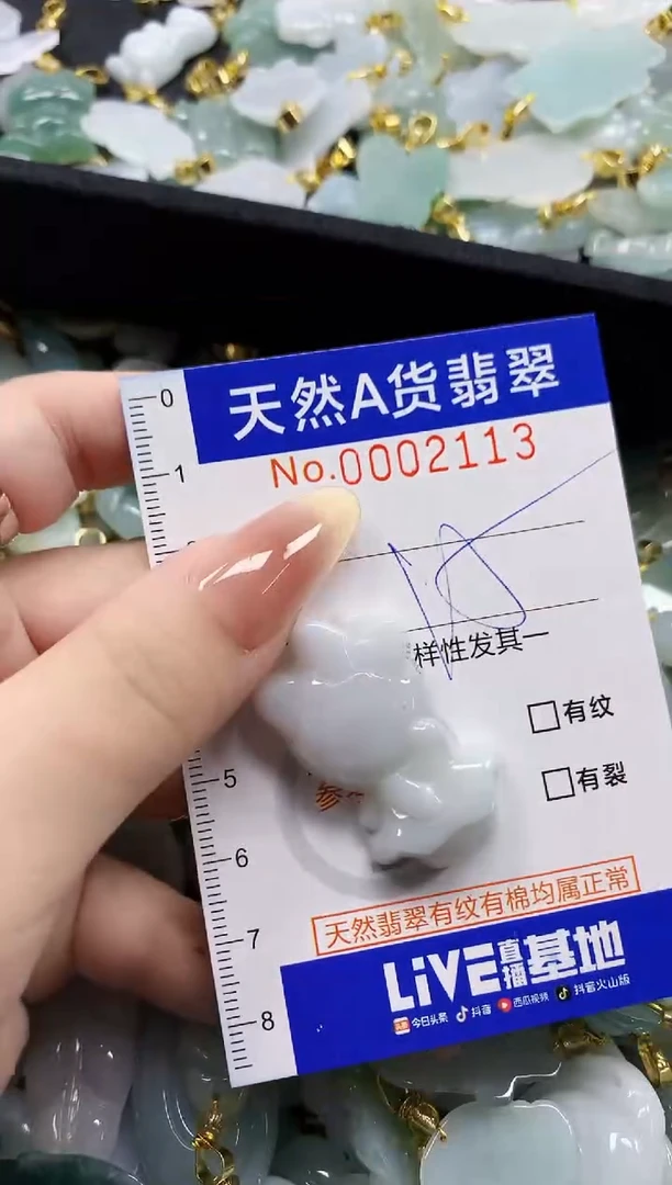 颈饰未镶嵌翡翠天然A货翡翠