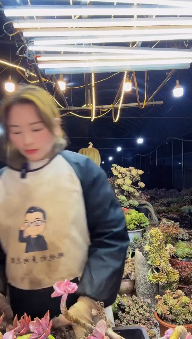 【闪购商品】28号一物一拍默认微瑕不售后