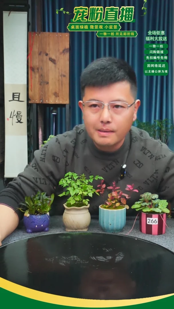 无花朵尘*埃苔藓微景观266号