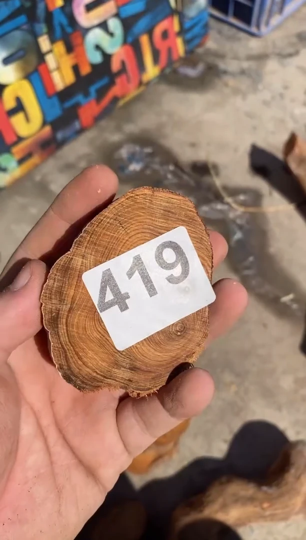 柏木（崖柏）太行陈化崖柏切片一块（津诚林）419