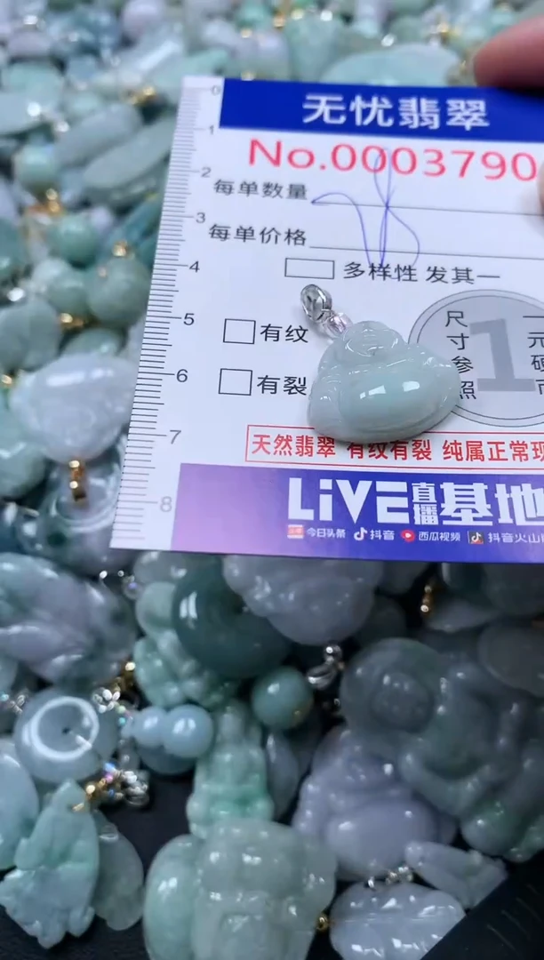 颈饰未镶嵌翡翠3790