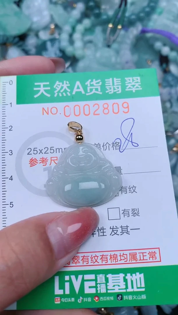 【闪购商品】翡翠颈饰未镶嵌.0002809