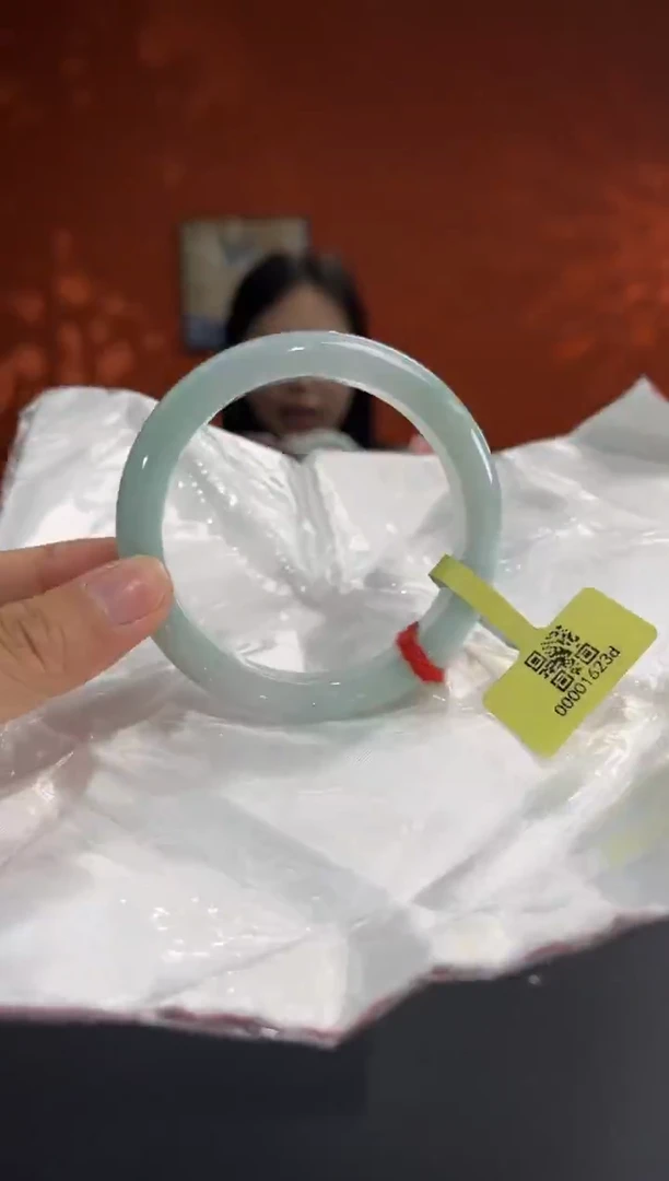 未镶嵌手镯翡翠15