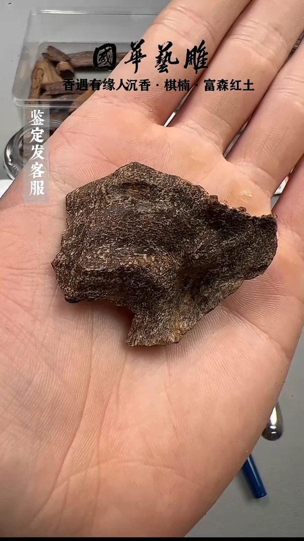 海南沉香品香料3.6g