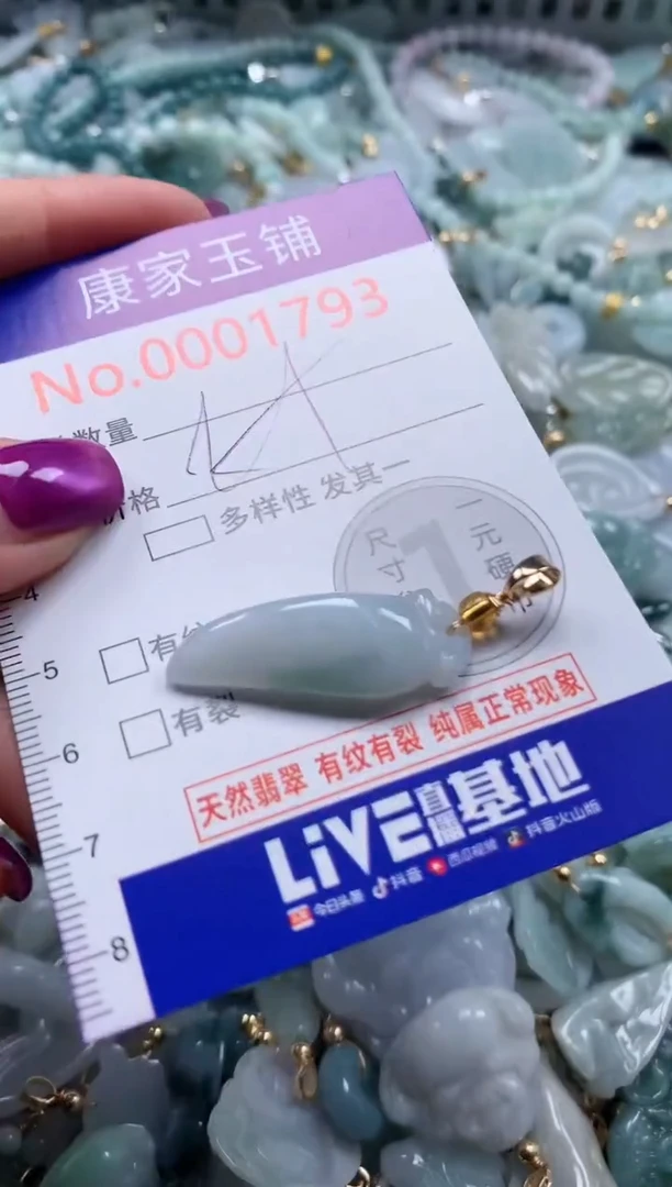颈饰未镶嵌翡翠1793