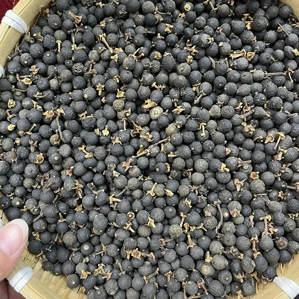 《阿权私藏》西16陈化 荒野油柑仔 小柑胎  拍一发四到手1000g 罐装