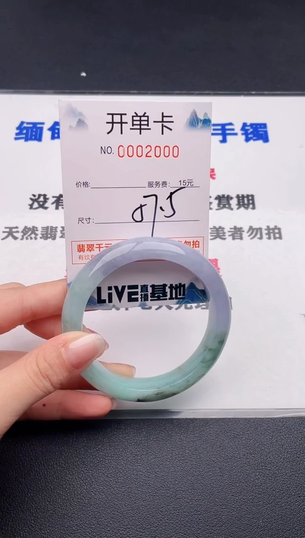 未镶嵌手镯翡翠00