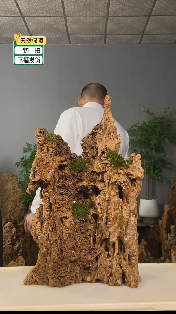 无花朵用****9天然吸水石上水石盆景99999999