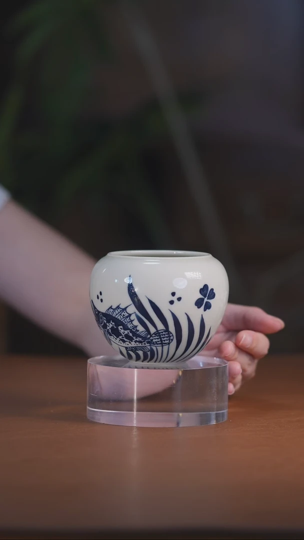二号釉鱼藻水洗