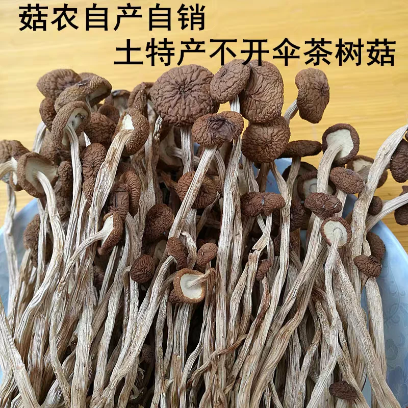 农家茶树菇干货鲜香脆嫩未开伞蘑菇