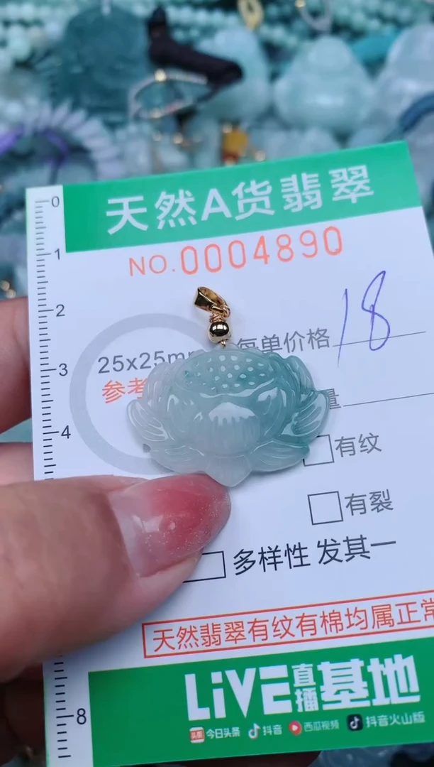 【闪购商品】翡翠颈饰未镶嵌.0004890