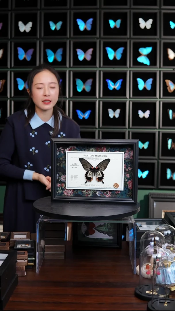 美凤蝶A4横框布艺款有尾