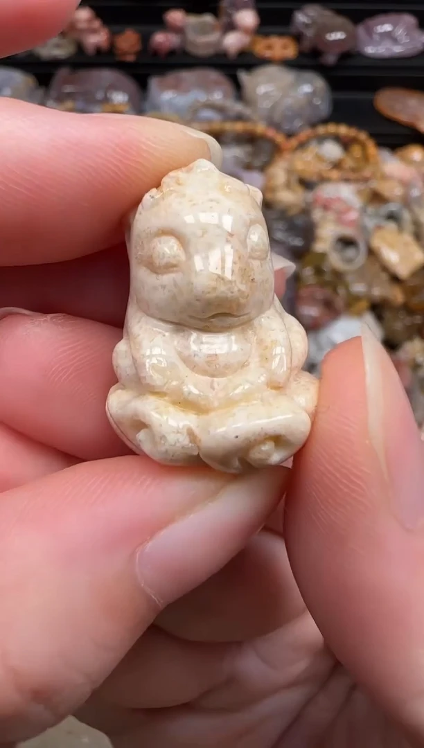 硅化珊瑚（珊瑚玉）未镶嵌颈饰221