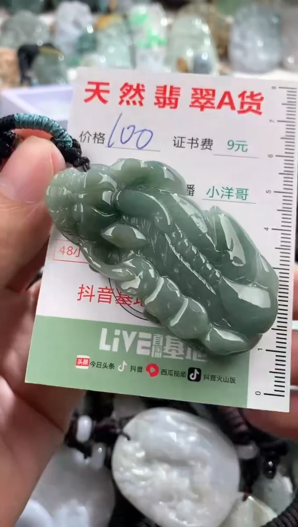 翡翠未镶嵌吊坠(不含链)1