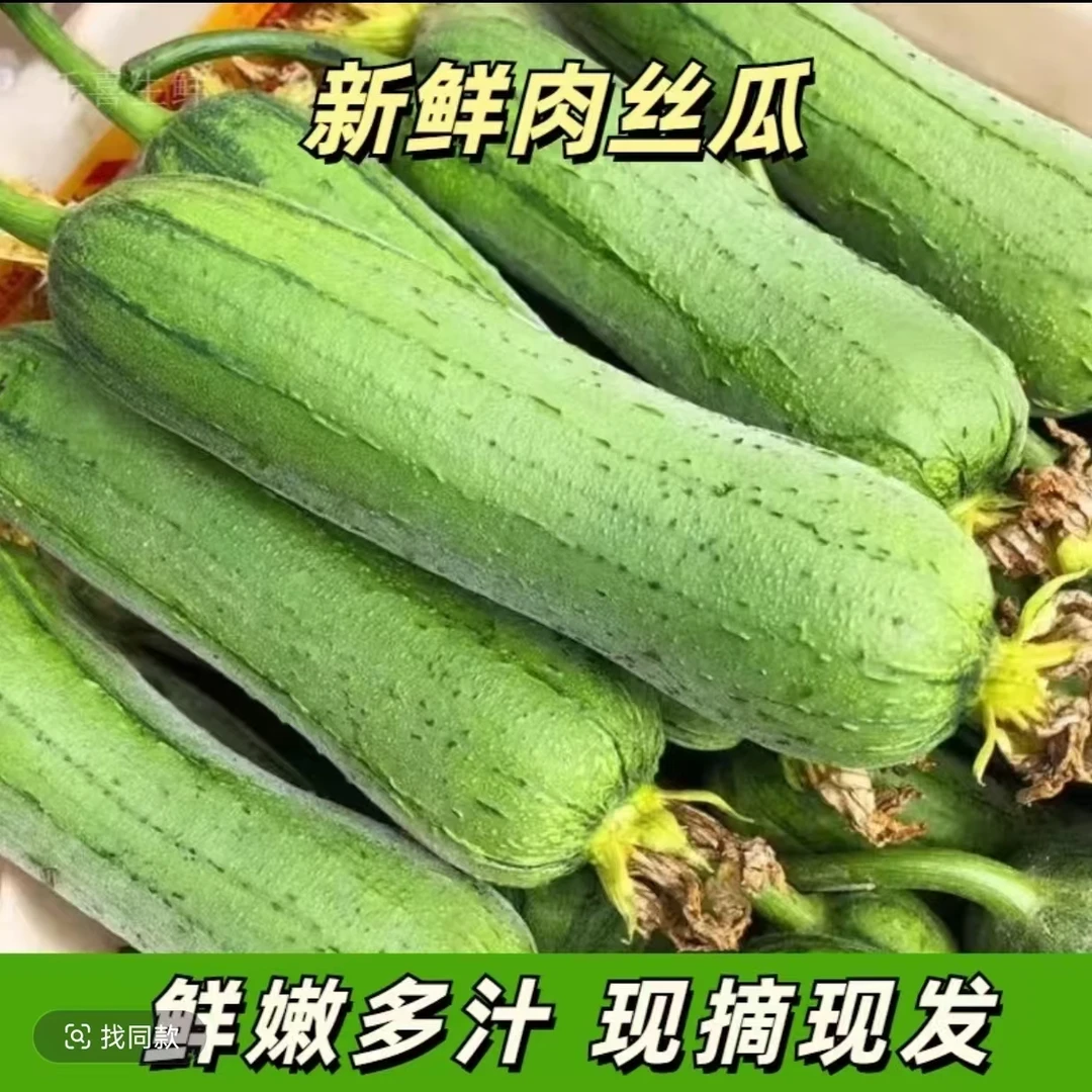 上海本地油皮丝瓜
