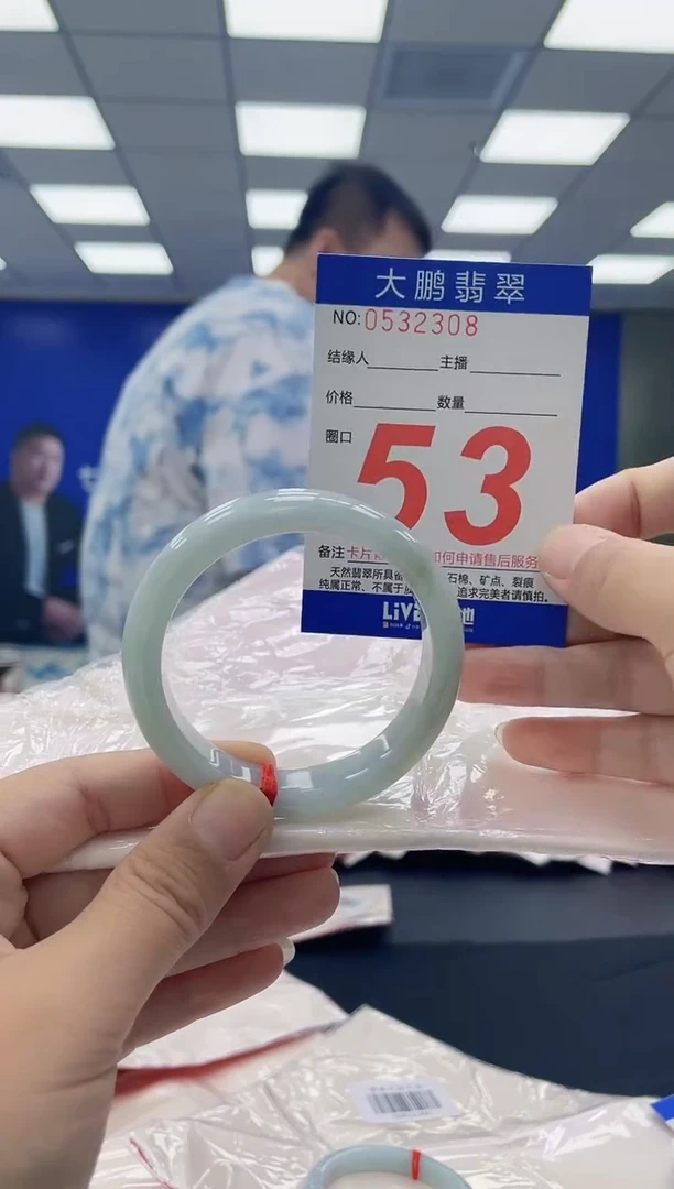 未镶嵌手镯翡翠AAAAAAAAAA