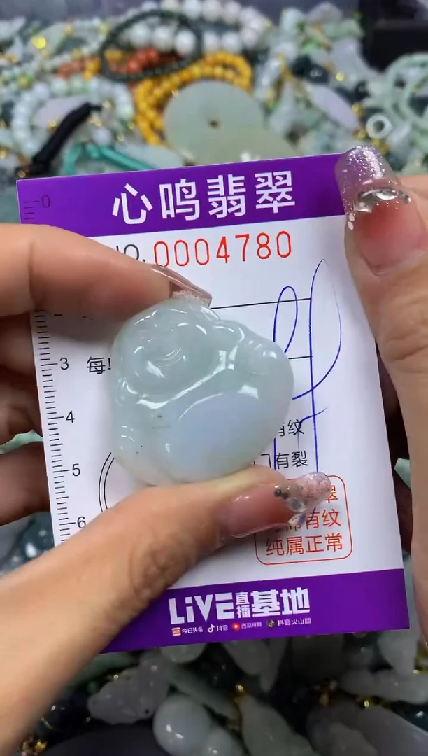 【闪购商品】翡翠颈饰未镶嵌闪购004790