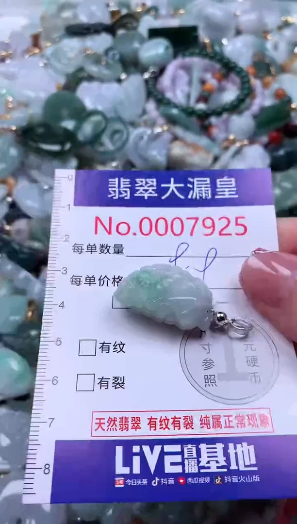 颈饰未镶嵌翡翠7925