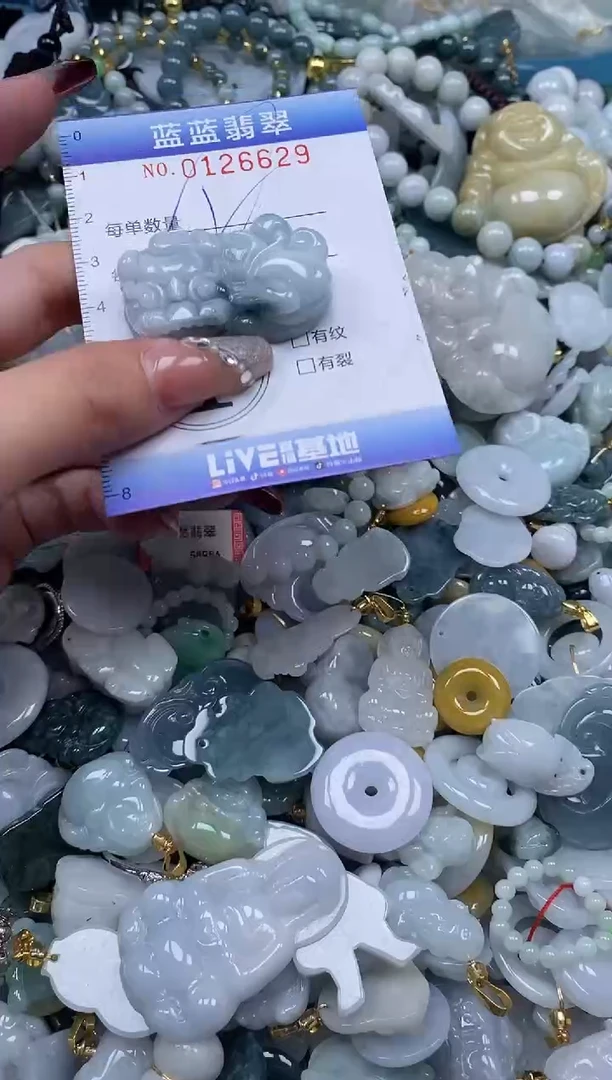 【闪购商品】翡翠颈饰未镶嵌闪购0126629