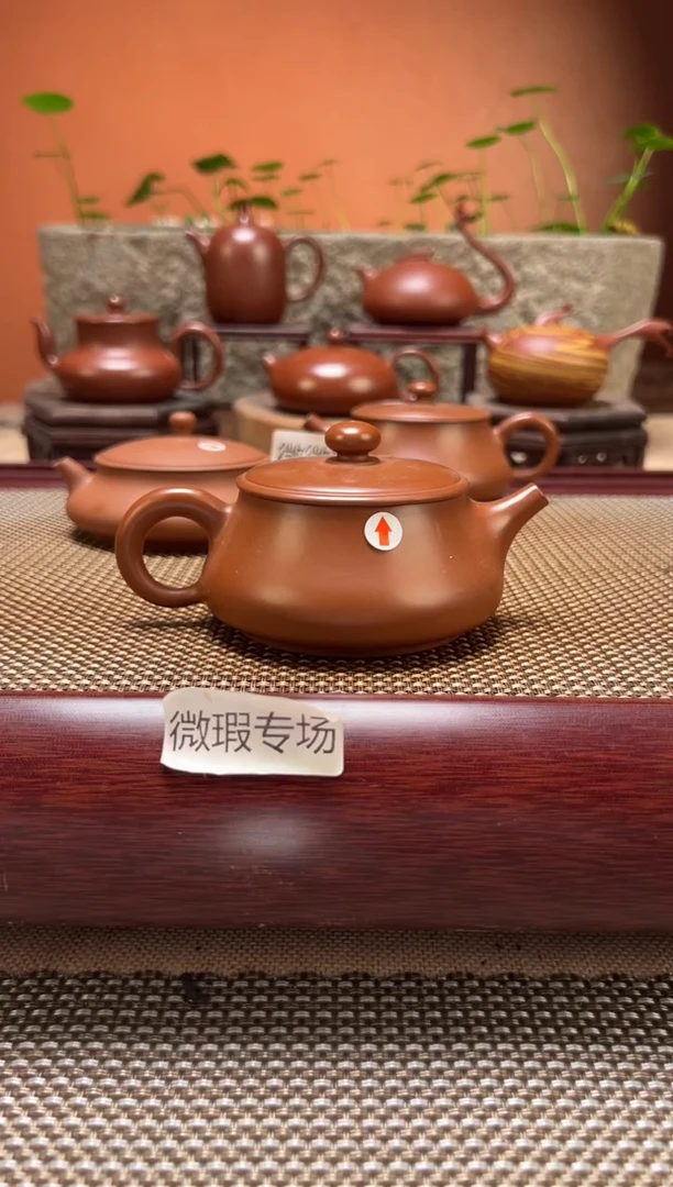 茶壶紫砂【微瑕】原矿纯手工 X669