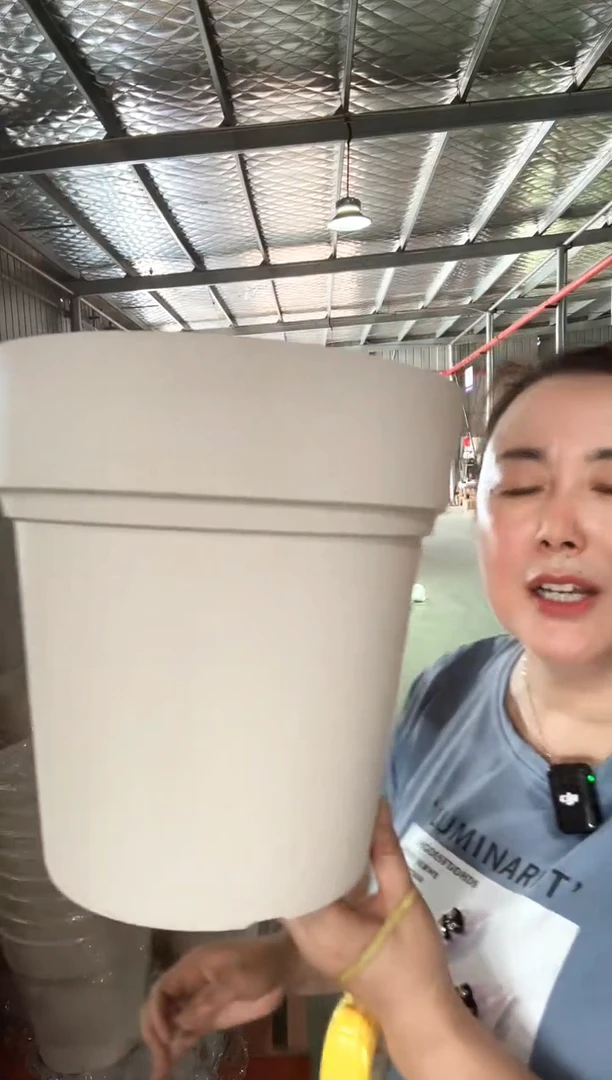 佛蒙特280米色5只不带托