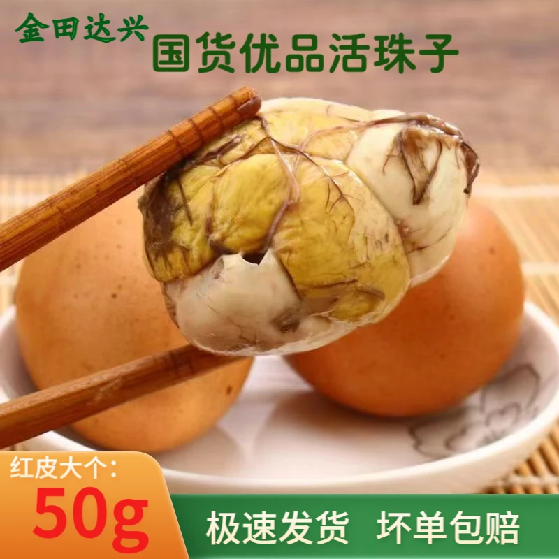 金田达兴CCTV国货优品活珠子10-40枚钢化蛋无毛蛋一箱毛蛋活珠子